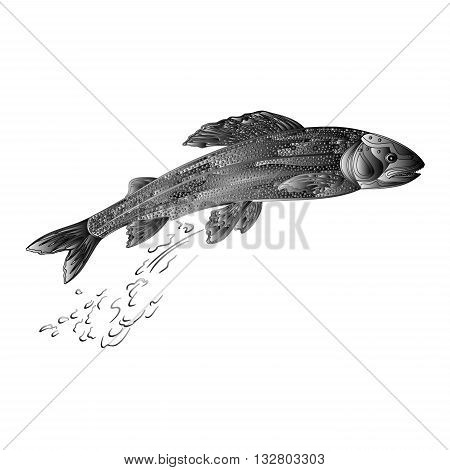 Grayling salmon predatory fish as wrought metal vintage vector illustration