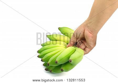 Pisang Awak banana Kluai Nam Wa. Green cultivate banana on isolate white background. Hand grabbing bananas.