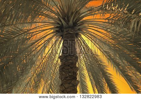 Digital painting of a date palm against an orange sky
