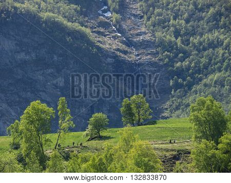 the village of flam in a norwegian fjoerd
