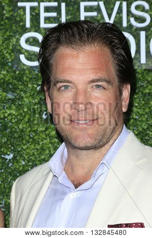 LOS ANGELES - JUN 2:  Michael Weatherly at the 4th Annual CBS Television Studios Summer Soiree at the Palihouse on June 2, 2016 in West Hollywood, CA