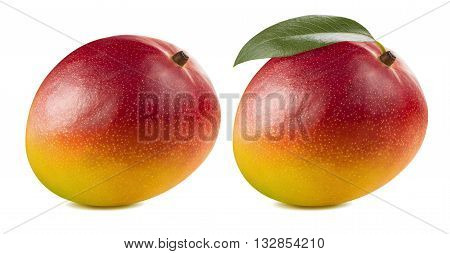 Double whole tropical red mango leaf isolated on white background as package design element
