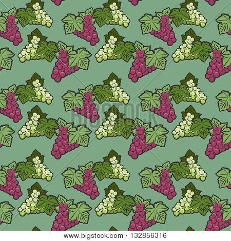 Seamless color pattern grappe theme, vector illustration