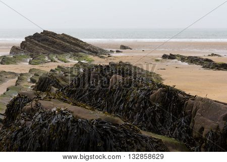 Rocks On The Shore In Bude, Cornwall