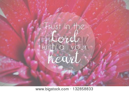 Inspirational Verse From The Bible On A Blurred Background