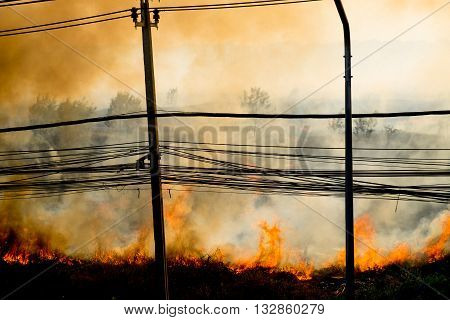 wildfire at side of road sihouette background and wallpaper