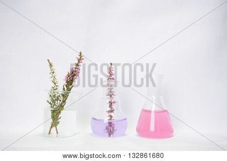 laboratory glassware with flower on white background