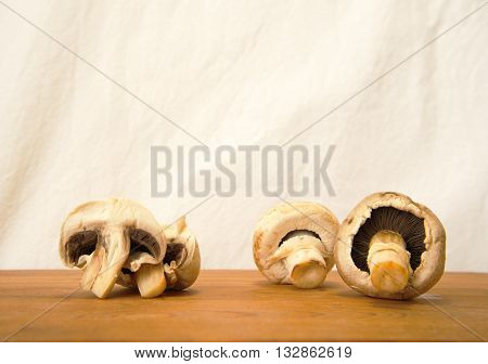 white raw nature mushroom on wood background