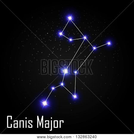 Canis Major Constellation with Beautiful Bright Stars on the Background of Cosmic Sky Vector Illustration EPS10
