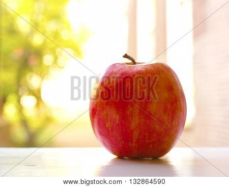 single red apple on soft nature background