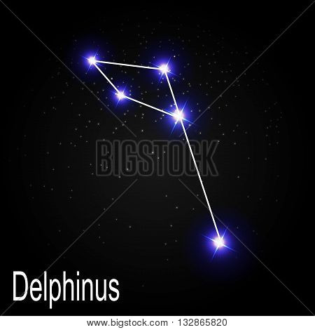 Delphinus Constellation with Beautiful Bright Stars on the Background of Cosmic Sky Vector Illustration EPS10
