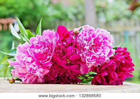 Pink peony flowers bouquet on the table. Shallow depth of field.
