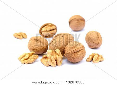 Walnuts in shell isolated on white background