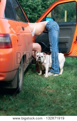 Sexy couple in the car and a white English bulldog outdoors