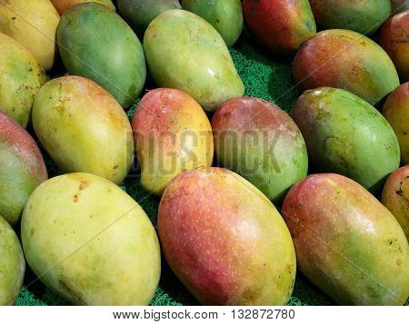 Variety of mangoes in India , dusseri, langda, available during the summer months in India. Very popular summer fruits in India and are a healthy alternate to many sweets