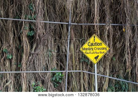 Monkeys crossing warning sign at the sacred monkey forest in Ubud, Bali, Indonesia