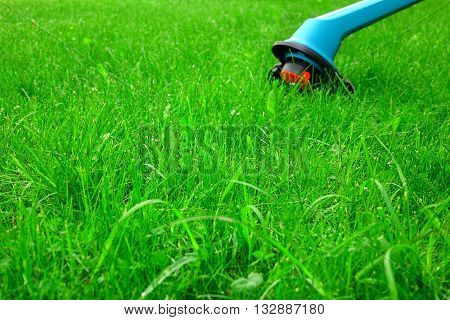 Summer Backyard Green Lawn Closeup And New Corded Grass Trimmer In The Background