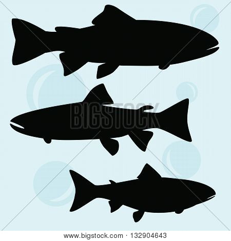 The contour image of a fish but white background vector .Sleek design trout .