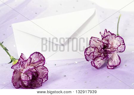 pink carnation and greeting card isolated on white background