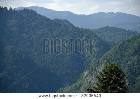 Mountains Pieniny in Slovakia and Poland in June