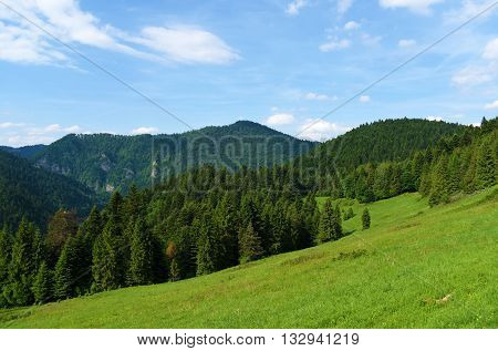 Mountains Pieniny in Slovakia and Poland in June