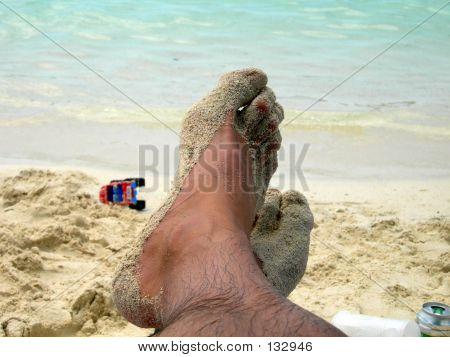 해변에서 피트의 클로즈업