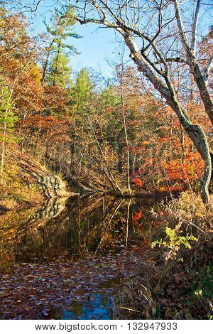 Stoney Creek reflections on a Fall Day