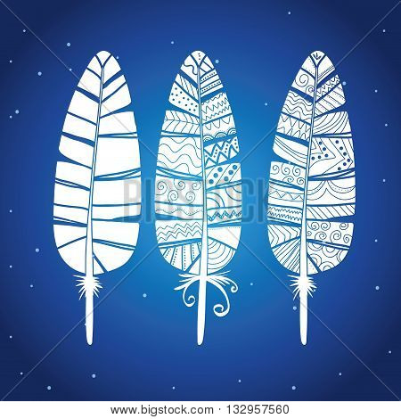 Bohemio concept with icon design, vector illustration 10 eps graphic.