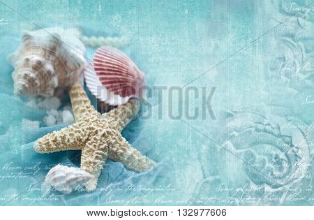 Blue ornamental grunge background with marine shells. Horizontal template with seashells starfish snail with place for your text. Design for invitation card poster flyer gift certificate.