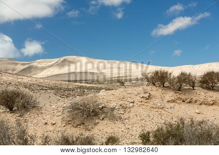The Desert Landscape Costa Calma On Fuerteventura. Canary Island. Spain