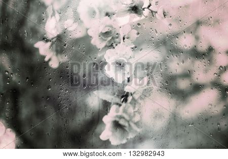 Plastic flowers behind the window glass is raining