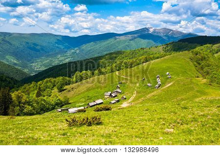 Mountain Landscape In The Ukrainian Carpathians