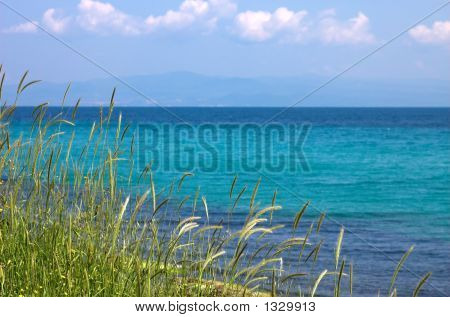 Hierba, mar y azul cielo