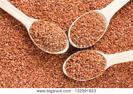Brown grain rice varieties devzira in wooden spoons