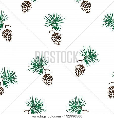 Vector illustration seamless pattern with pinecone branch . Pine cone wood nature