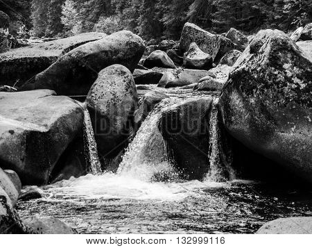 Mossy rocks in the wild stream of Vydra river, Sumava National Park, Bohemian Forest, Czech Republic. Black and white image.