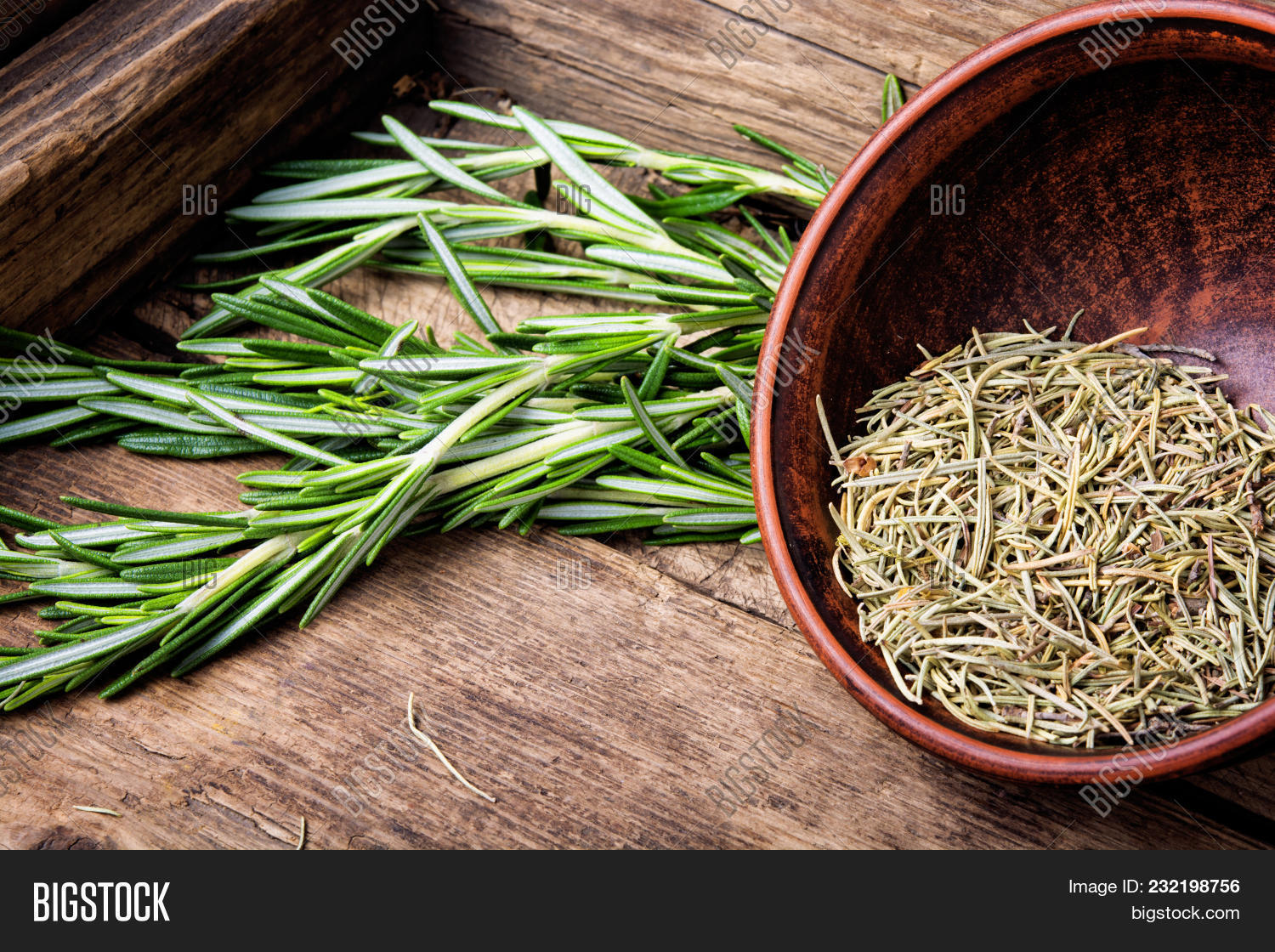 Imagen y foto Fresh Rosemary (prueba gratis) Bigstock