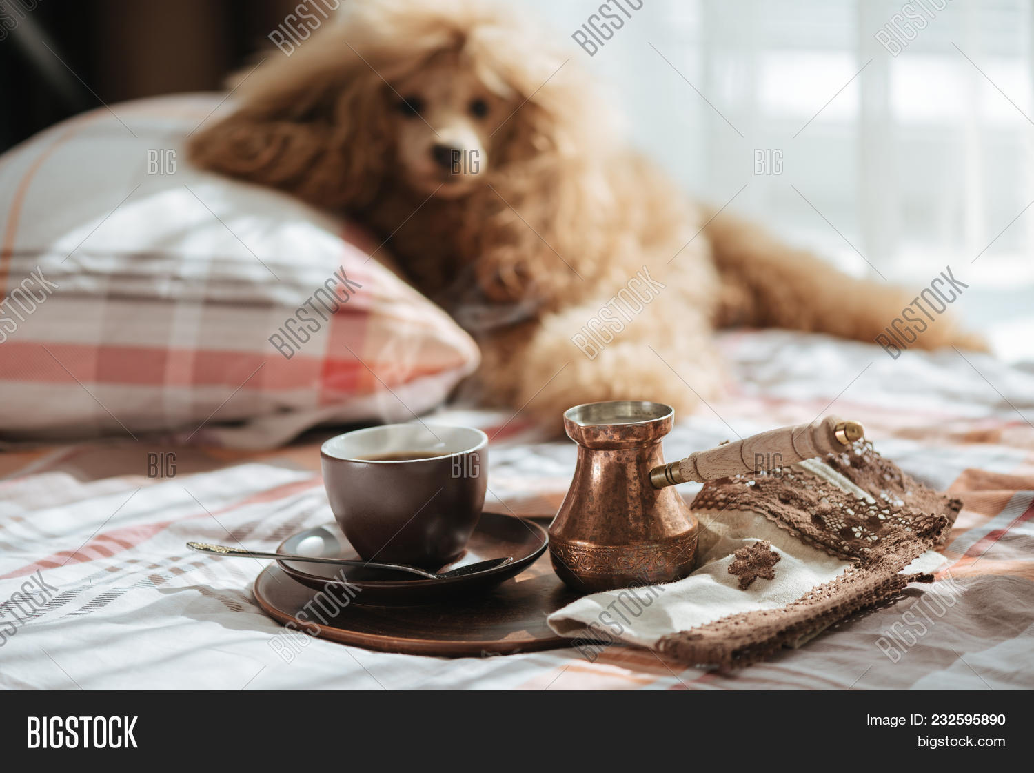 Breakfast Bed. Dog On Image & Photo (Free Trial) Bigstock