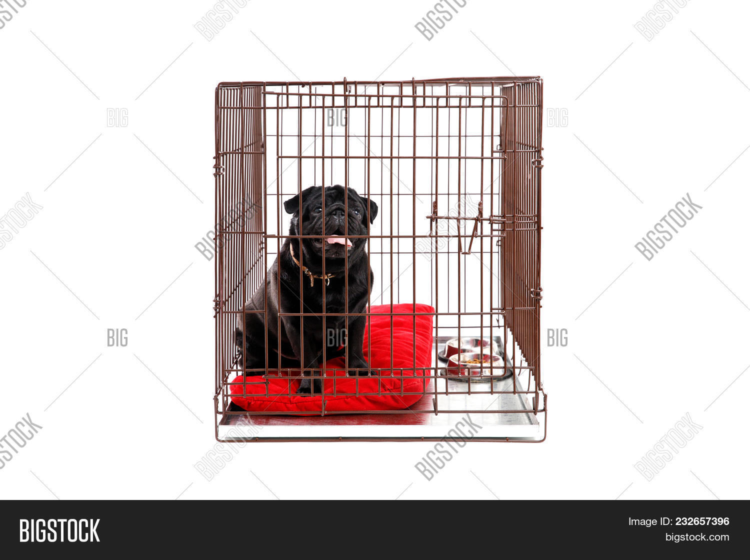 pug crate