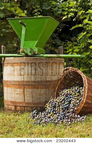 Vino d'uva Still Life
