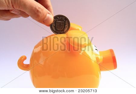 돼지 moneybox