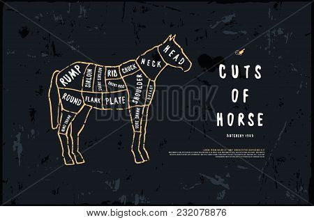 Stock Vector Horse Cuts Diagram In The Style Of Handmade Graphics. Illustration With Rough Texture. 