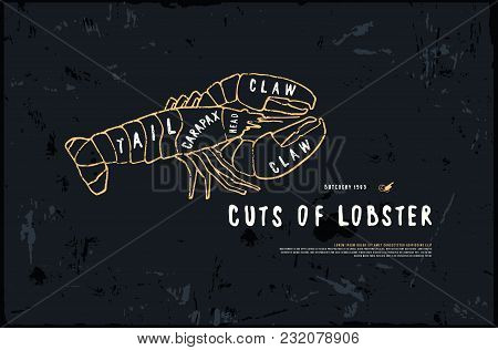 Stock Vector Lobster Cuts Diagram In The Style Of Handmade Graphics. Illustration With Rough Texture