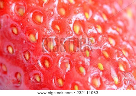 Macro Detail Of Strawberry Texture With Yellow Seeds