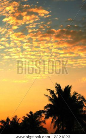 Tramonto tropicale