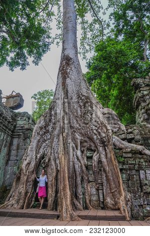 Siem Reap, Cambodia - August 5th, 2016:ta Prohm, Part Of Khmer Temple Complex, Asia. Siem Reap, Camb