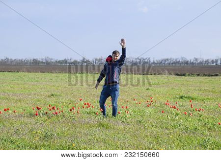 A Man In A Jacket On A Field Of Tulips. Glade With Tulips.