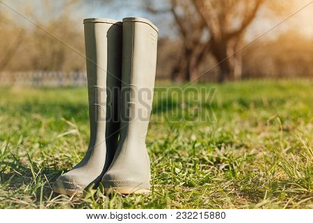 Protective Shoes. Close Up Of A Rubber Boots Standing On The Grass In The Garden