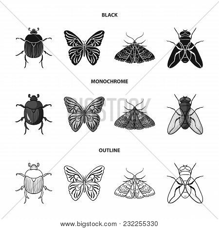 Wrecker, Parasite, Nature, Butterfly .insects Set Collection Icons In Black, Monochrome, Outline Sty