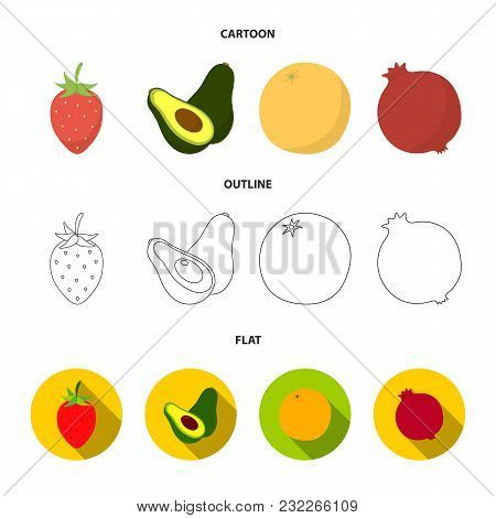 Strawberry, Berry, Avocado, Orange, Pomegranate.fruits Set Collection Icons In Cartoon, Outline, Fla